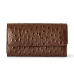 The Luxurious Ladies Clutch - Wallet