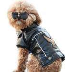 Dog Pet Clothes Leather Jacket