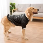 Pets Dogs PU Leather Jacket Waterproof