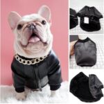 Dog Faux Leather Jacket