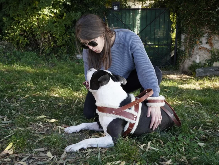 Fully Customizable Leather Dog Harness