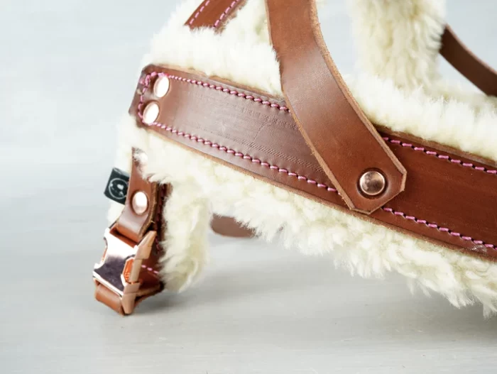 Fully Customizable Leather Dog Harness