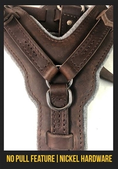 THE VICTORY NO PULL LEATHER HARNESS