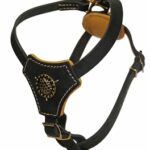 ROYAL CLASSIC KNIGHT LEATHER HARNESS