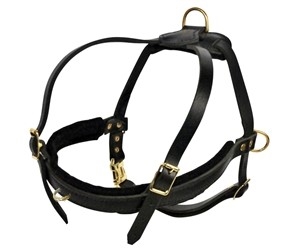 THE COWBOY NO PULL LEATHER HARNESS