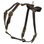 TYLER'S CHOICE LEATHER HARNESS