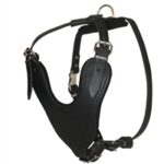 DOG LEATHER BASIC HARNESS