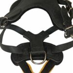 DOG LEATHER BASIC HARNESS