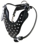 THE BLADE LEATHER HARNESS