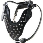 THE BLADE LEATHER HARNESS