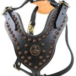 THE VIKING LEATHER HARNESS