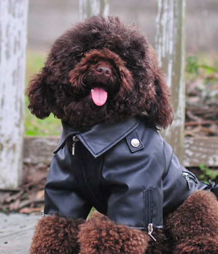 Dog Pet Clothes Leather Jacket