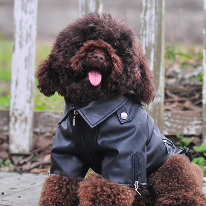 Dog Pet Clothes Leather Jacket