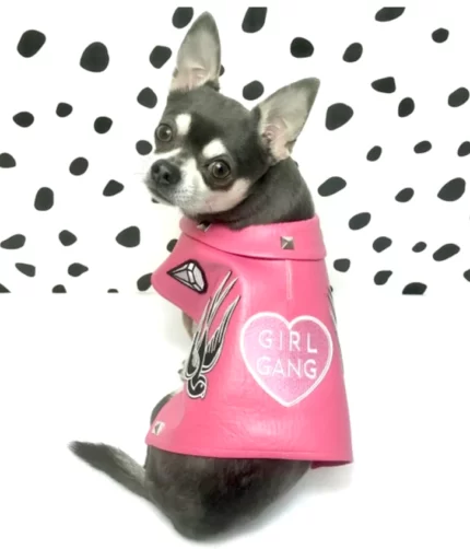Pink Custom Patch Faux Leather Dog