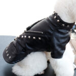 Waterproof Leather Dog Jacket