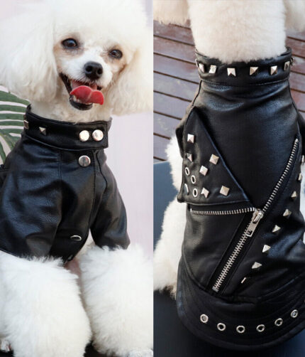 Waterproof Leather Dog Jacket