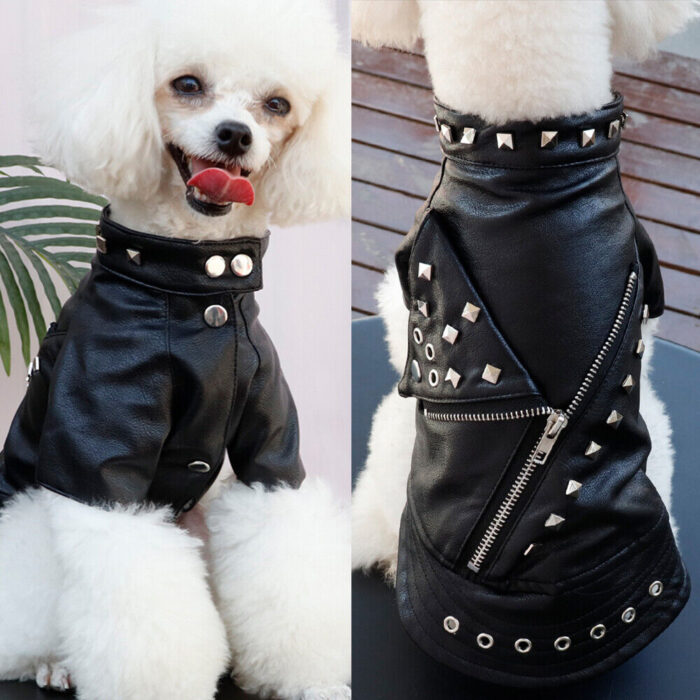 Waterproof Leather Dog Jacket