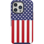 iPhone 13 Pro Case