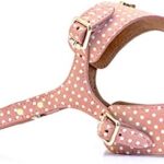 Printed Leather Dog Harness