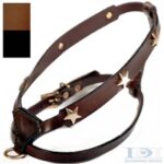 Star Printed Leather Dog Harness