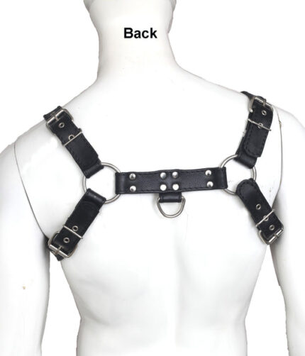 Buckle Body Chest Charcoal Harness