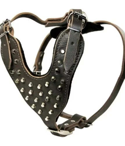 Brass Leather Dog Harness