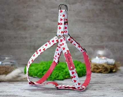 Heart Printed Leather Dog Harness