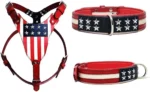 USA Printed Leather Dog Harness