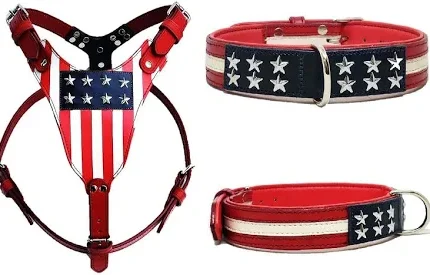 USA Printed Leather Dog Harness