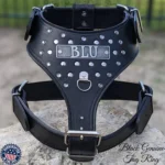 Navy Printed Leather Dog Harness