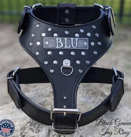 Navy Printed Leather Dog Harness