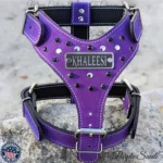 Violet Printed Leather Dog Harness