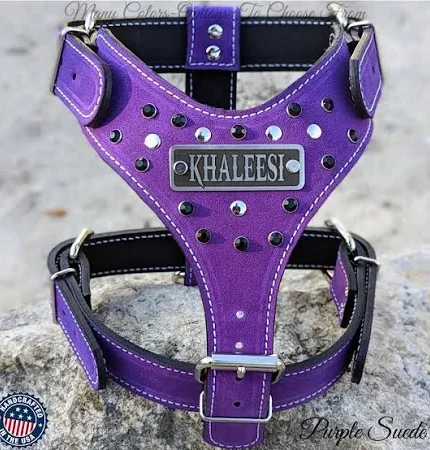 Violet Printed Leather Dog Harness