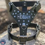 Olive Printed Leather Dog Harness