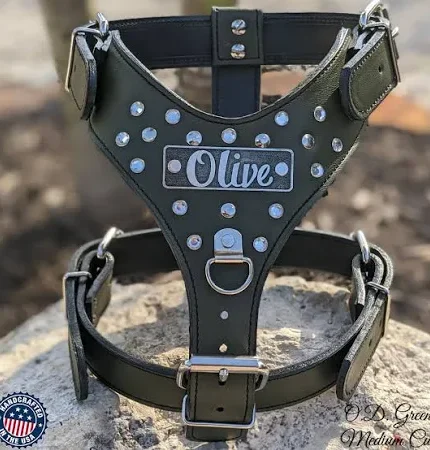 Olive Printed Leather Dog Harness