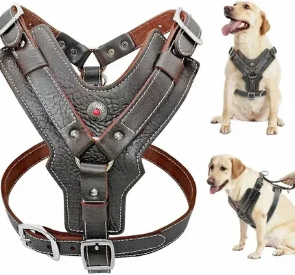 Coal Leather Dog Harness