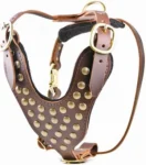 Light Brown Leather Dog Harness