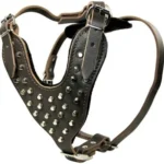Brass Leather Dog Harness