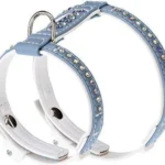 Blue Leather Dog Harness
