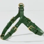 Green Leather Dog Harness
