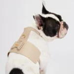 Cream Leather Dog Harness