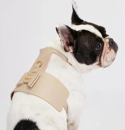 Cream Leather Dog Harness