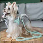 Mint Leather Dog Harness